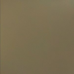 Meet your Posher, Tamika